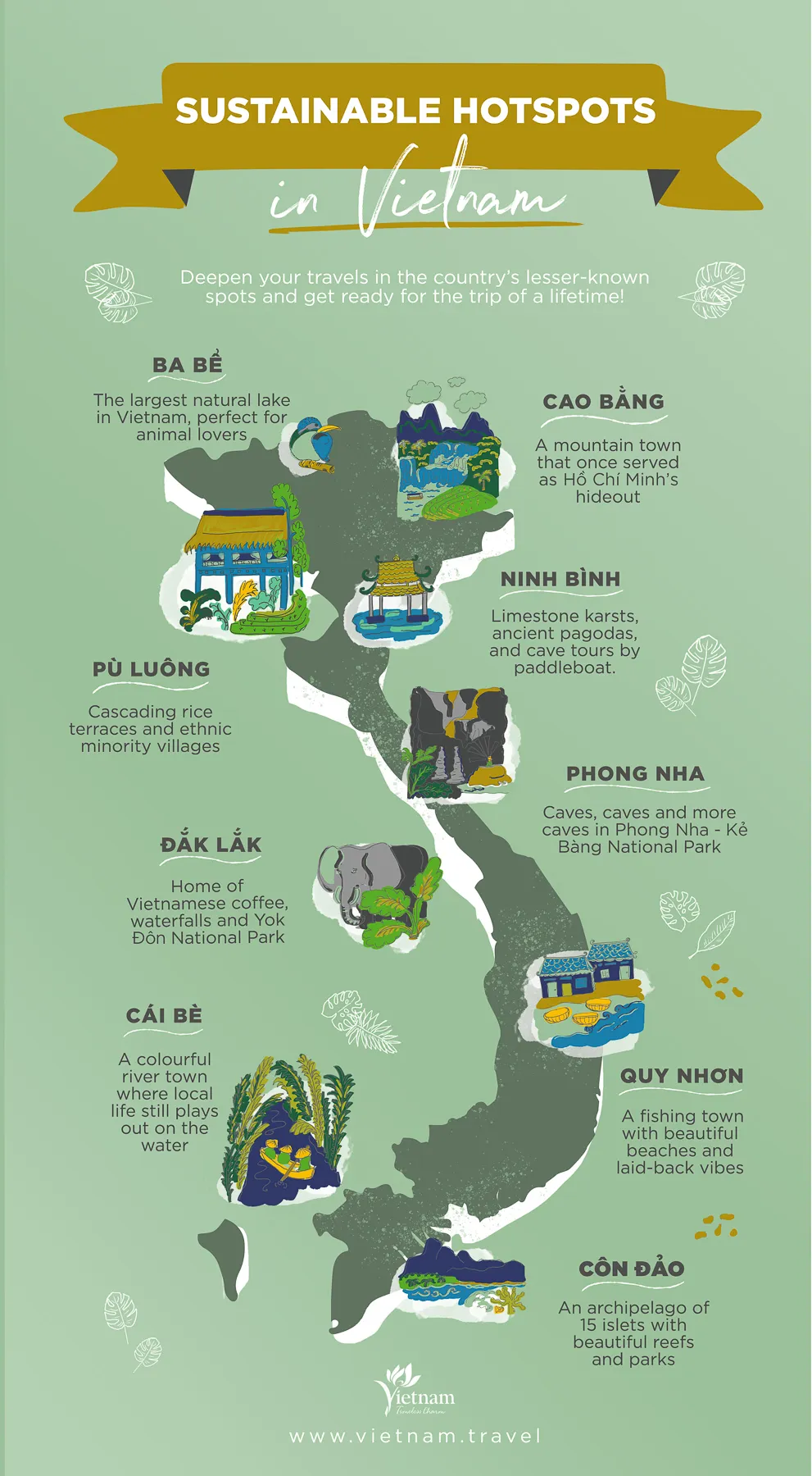 Sustainable Tourism and Conservation Efforts