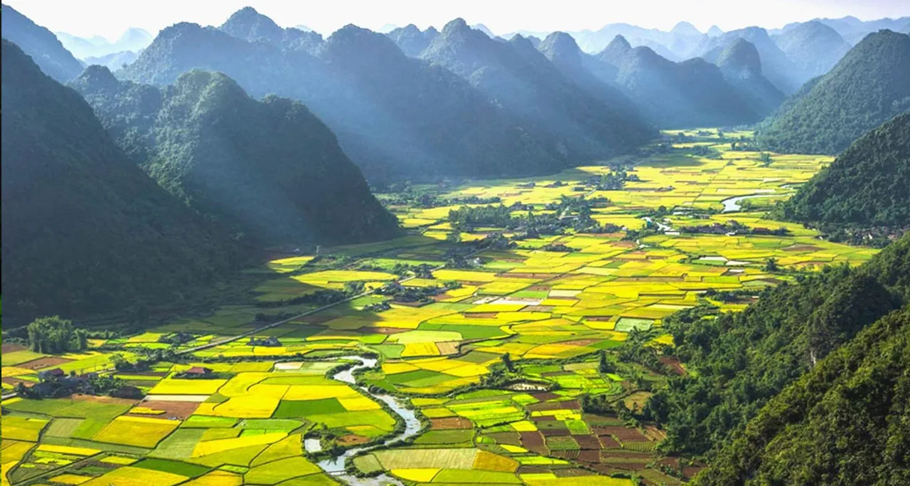 Scenic Landscapes: Limestone Peaks and Rice Terraces