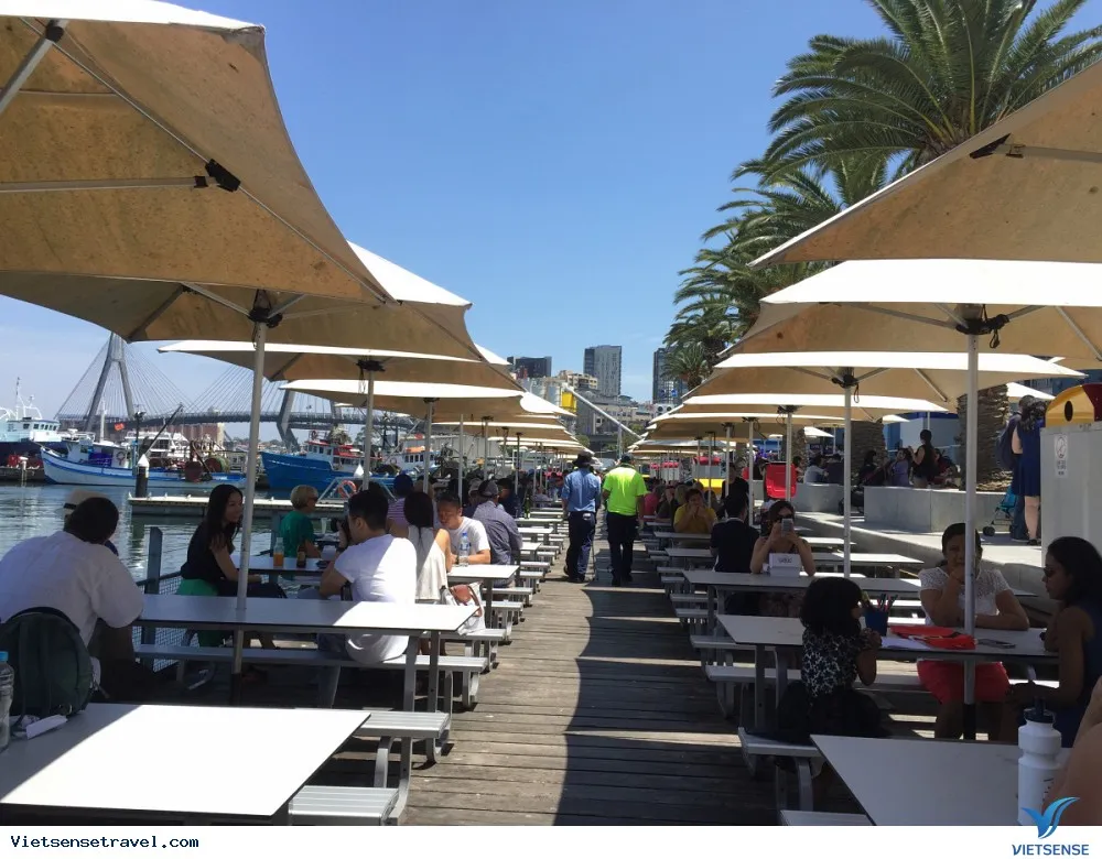 Hướng Dẫn Di Chuyển Đến Chợ Cá Sydney