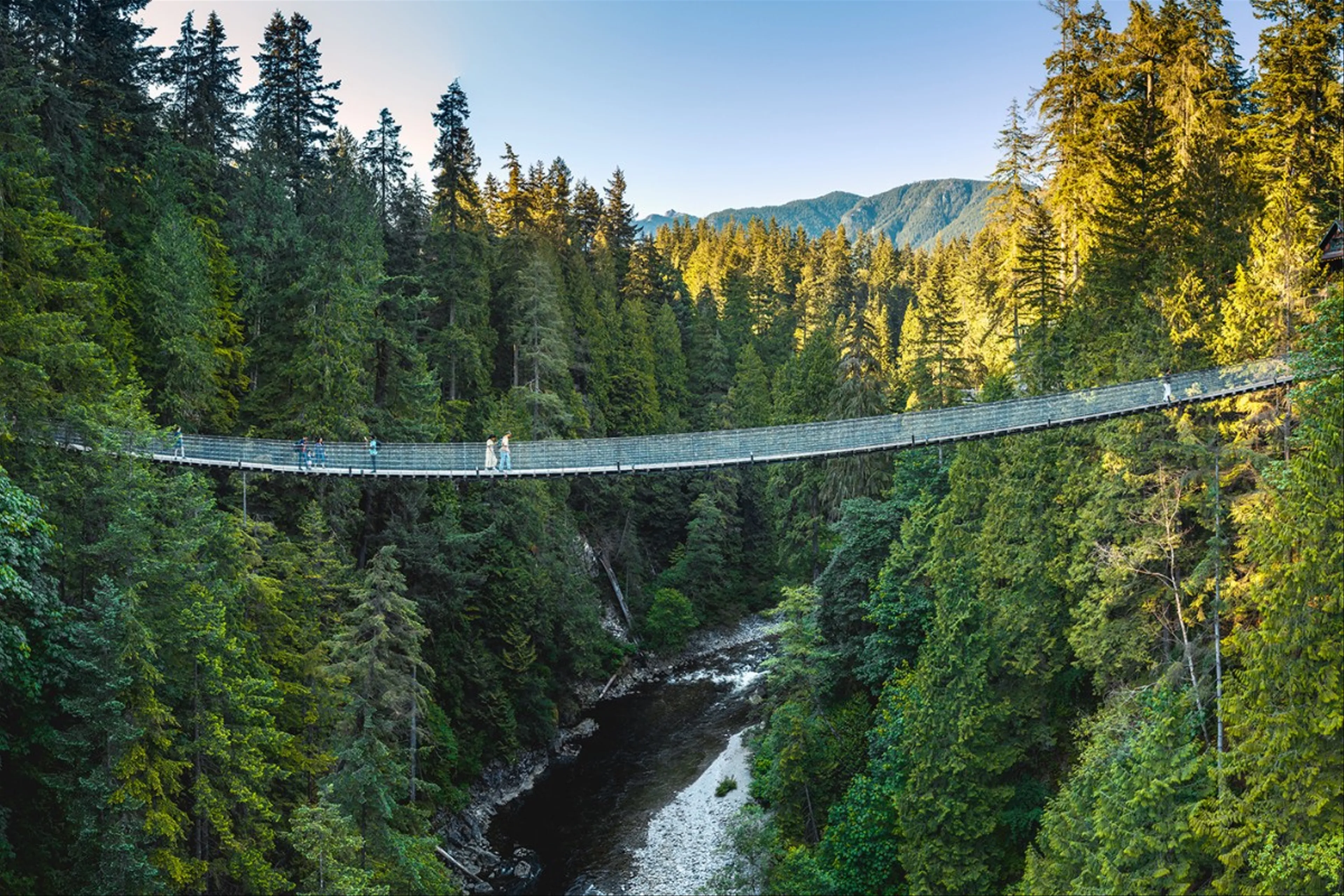 Khám Phá Cầu Treo Capilano: Hành Trình Đầy Kích Thích Giữa Rừng Rậm Vancouver