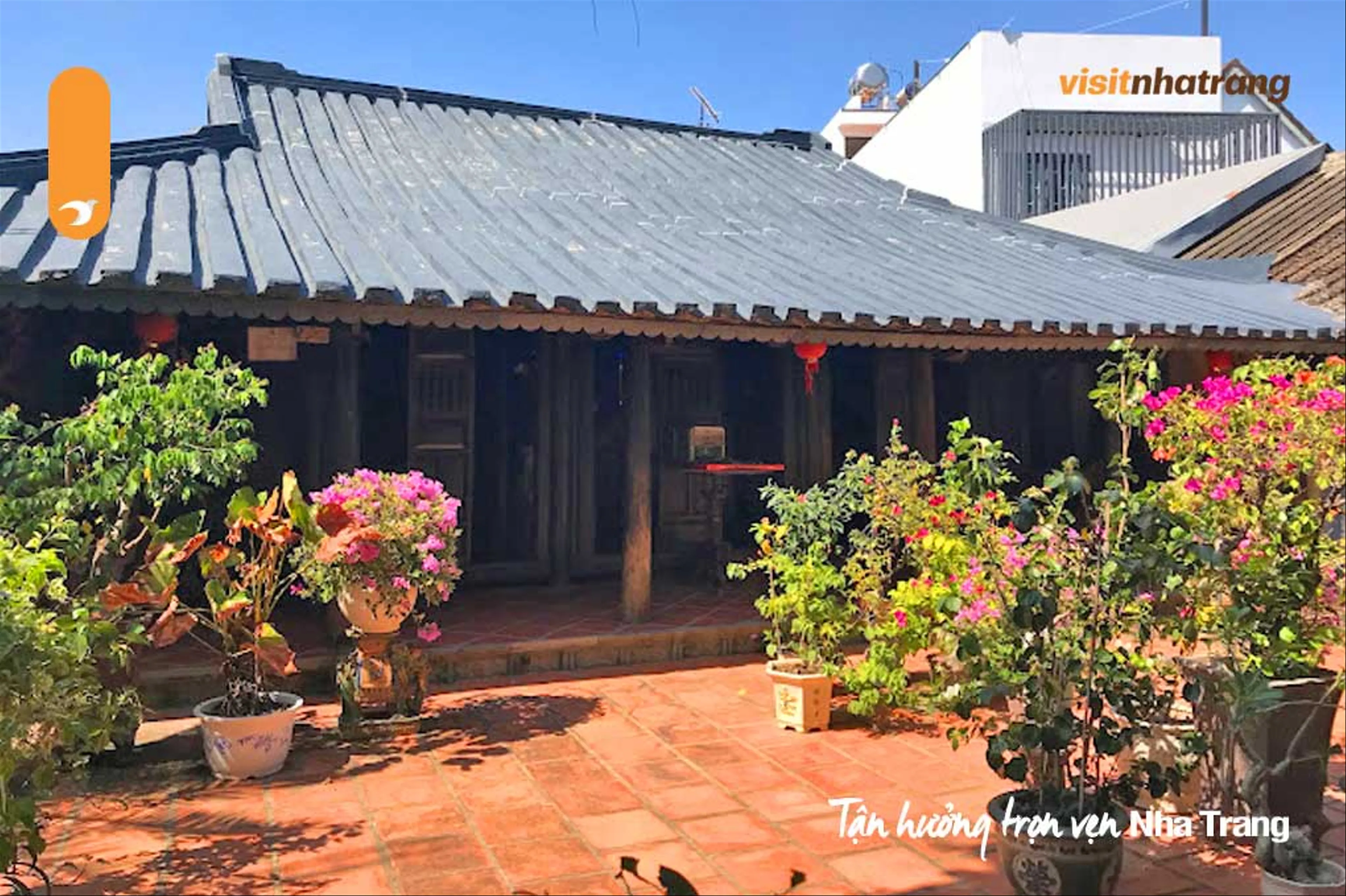 Khám Phá Vẻ Đẹp Bí Ẩn Của Làng Cổ Phú Vinh Nha Trang