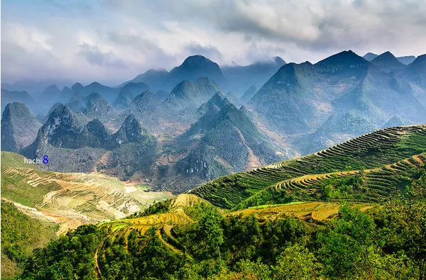 Cao nguyên đá Đồng Văn: Vẻ đẹp hùng vĩ và hoang sơ
