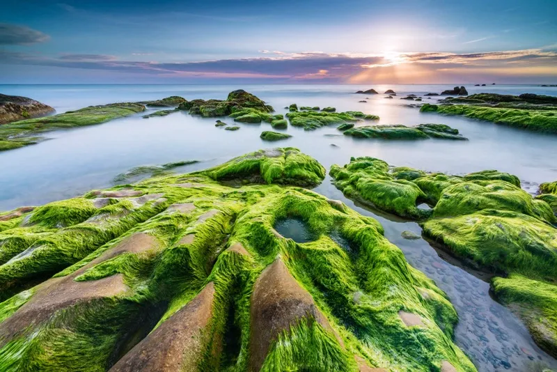 Nam O Reef