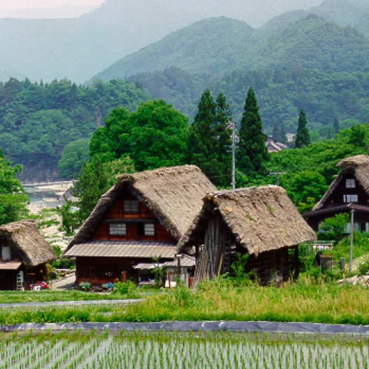 Introduction to Gokayama: A UNESCO World Heritage Site