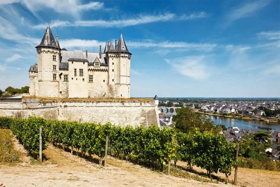 Lịch Sử Sản Xuất Rượu Vang Tại Loire
