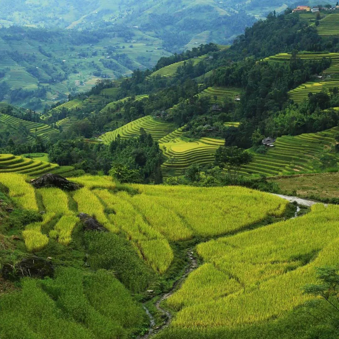 Outdoor Adventures: Hiking and Cycling Through Lush Landscapes