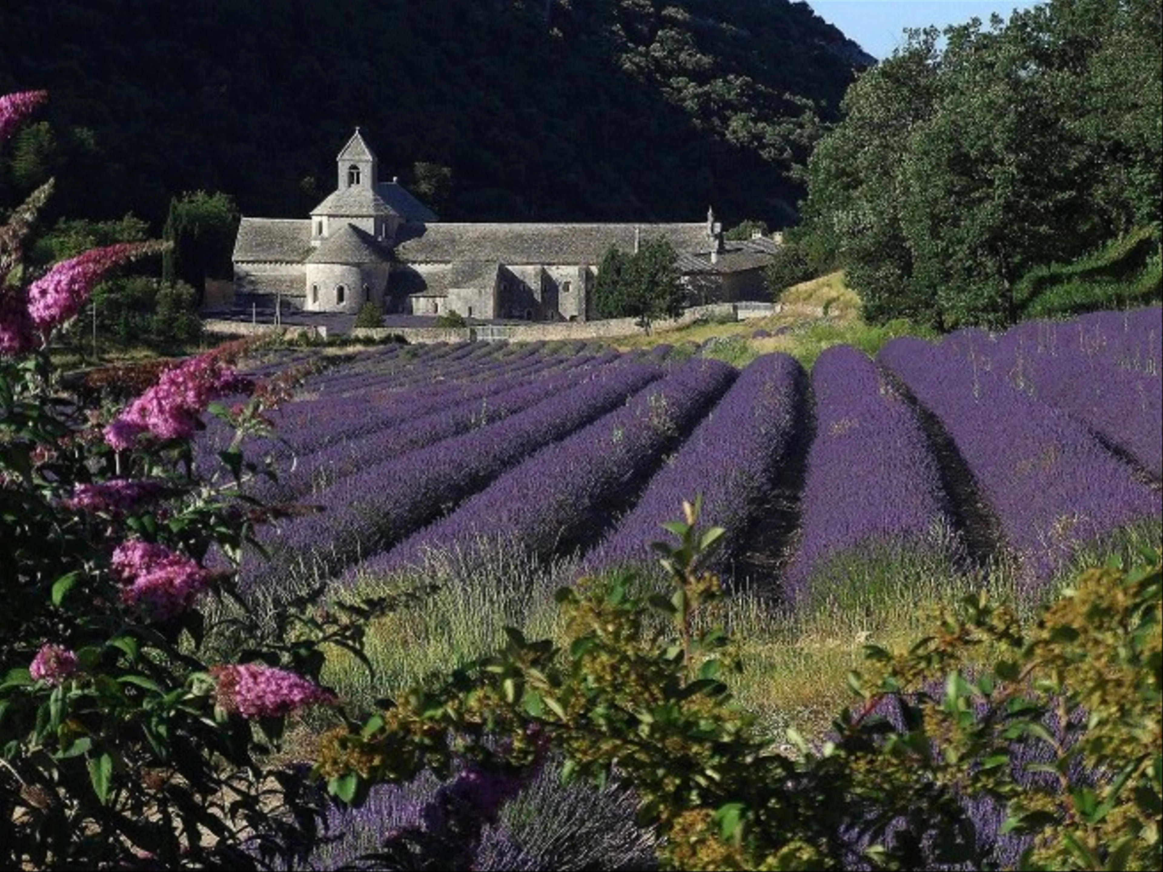 Khám phá sự kỳ diệu của Làng Cổ Gordes tại Provence: Viên ngọc bí ẩn của Pháp