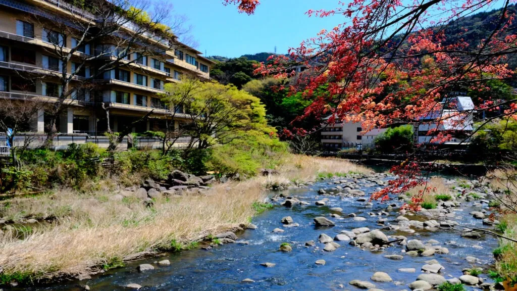 Hành trình đến Hakone: Thư giãn với suối nước nóng
