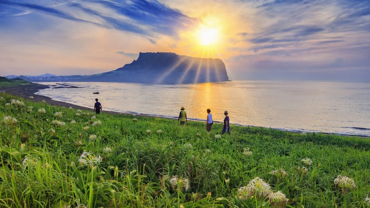 Mẹo lưu trú và di chuyển tại Jeju