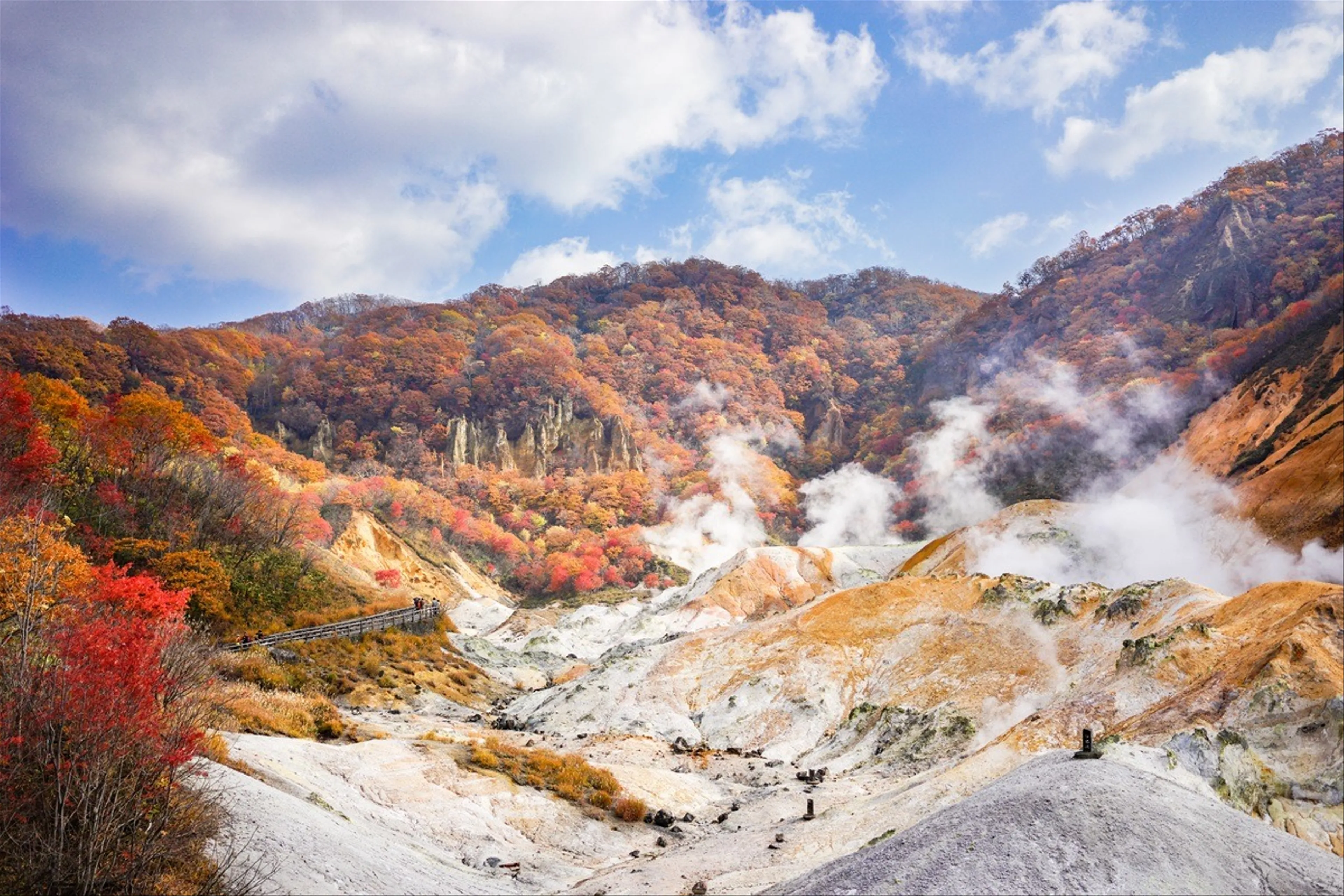 Savoring Sapporo: A Taste Journey Through Hokkaido’s Hidden Culinary Delights