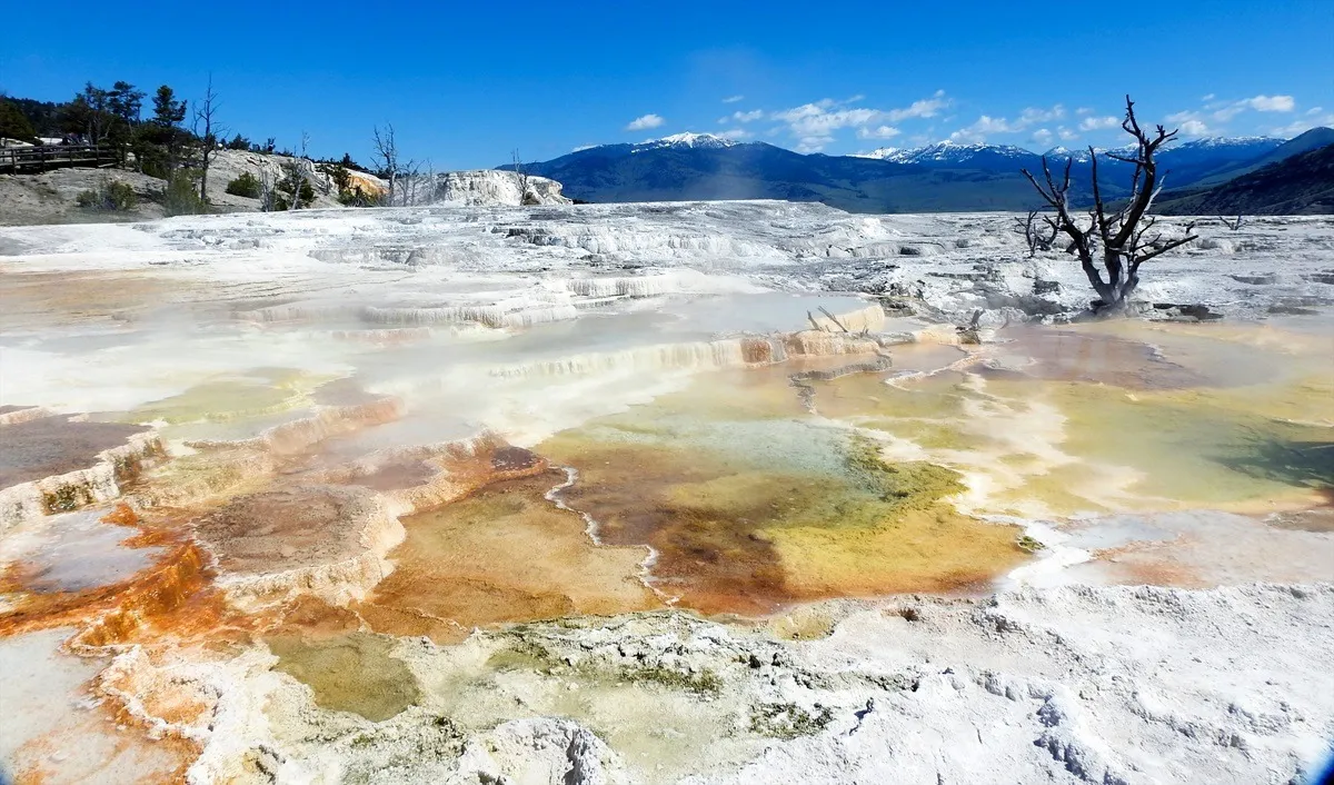 Kinh nghiệm lưu trú tại Yellowstone