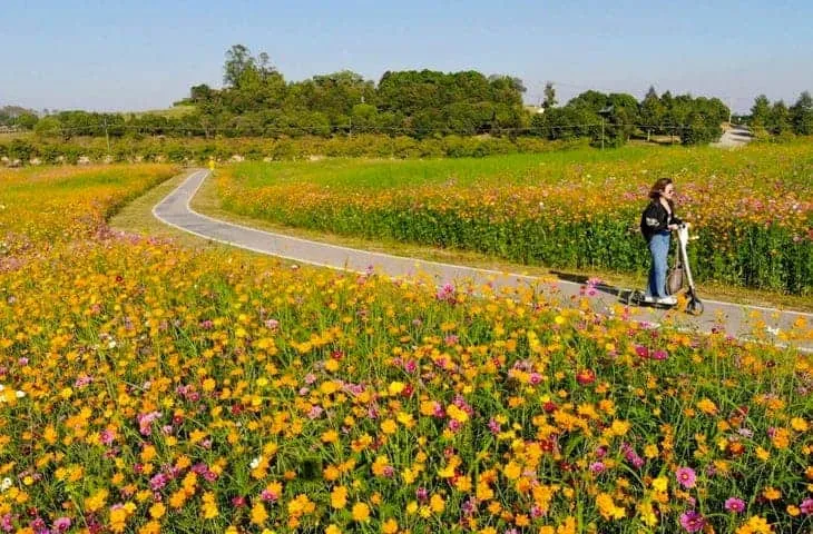 Singha Park Chiang Rai (Boon Rawd Farm) - Bon Voyage Thailand