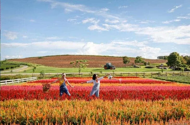 Singha Park Chiang Rai (Boon Rawd Farm) - Bon Voyage Thailand