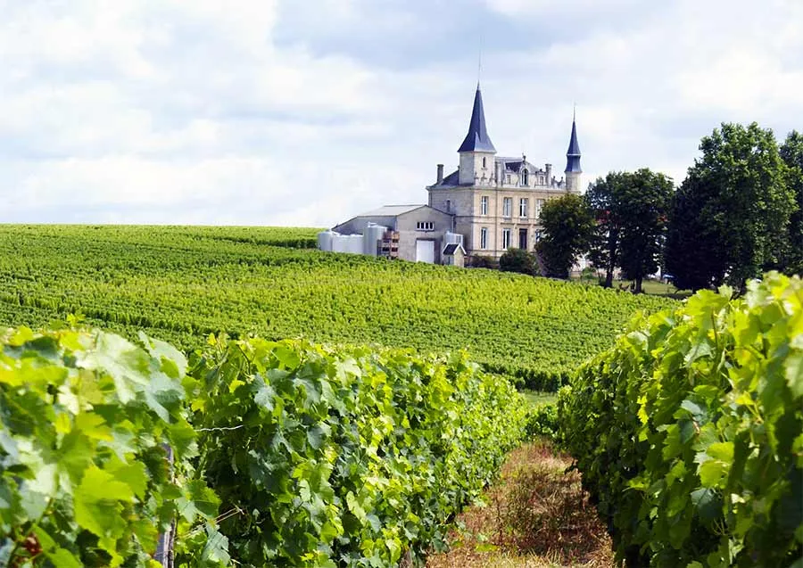 Bordeaux: The Heart of French Wine Country