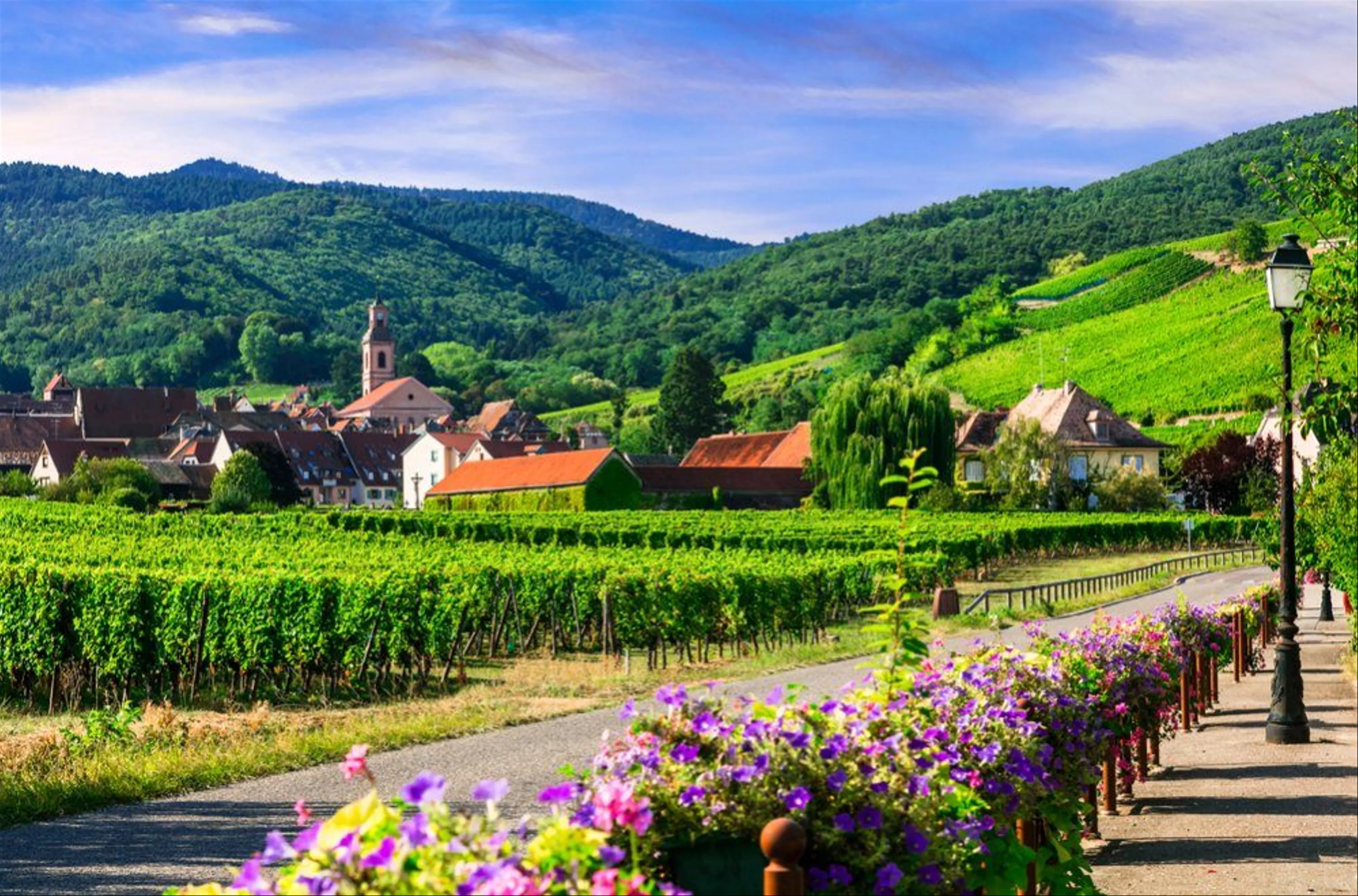 Unveiling the Hidden Treasures of Alsace: A Wine Lover's Journey