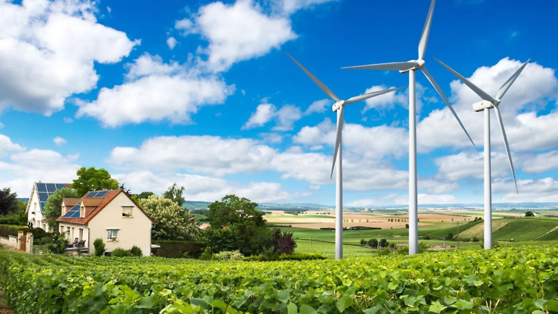 Sustainable Innovation: The Eco-Friendly Aspects of the Machines