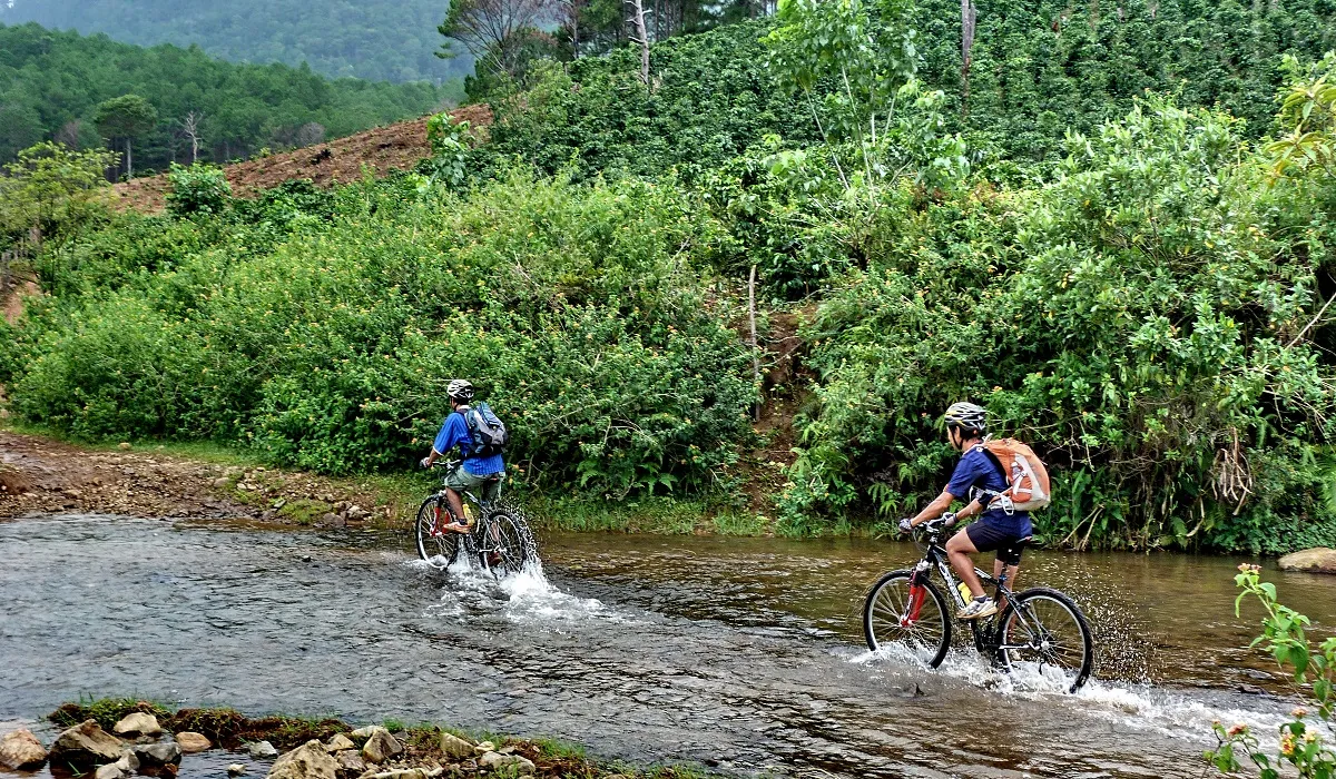 The Joy of Cycling: Why Choose a Bicycle Tour