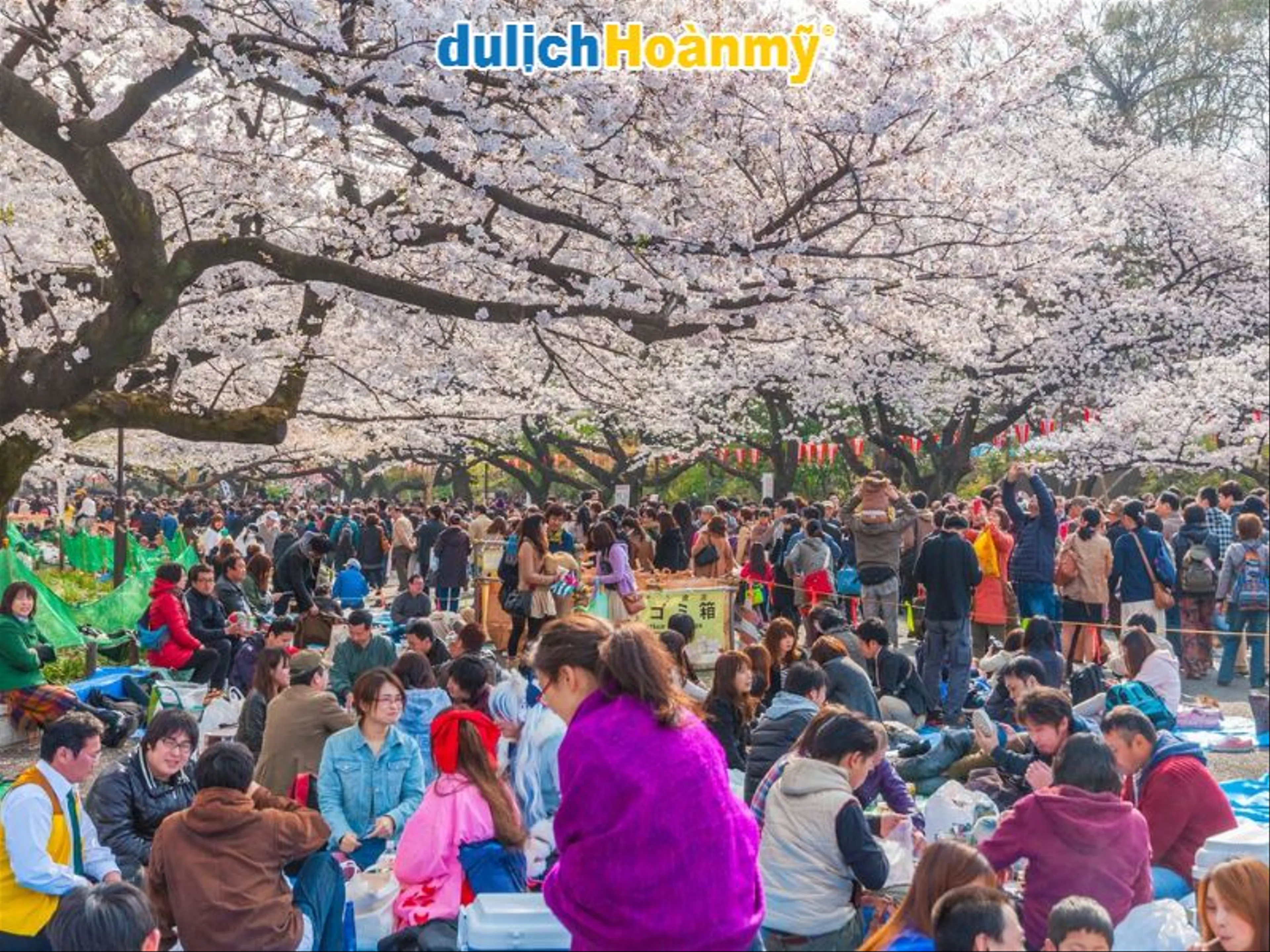 Trải Nghiệm Lễ Hội Mùa Xuân Hanami Tại Công Viên Ueno, Tokyo