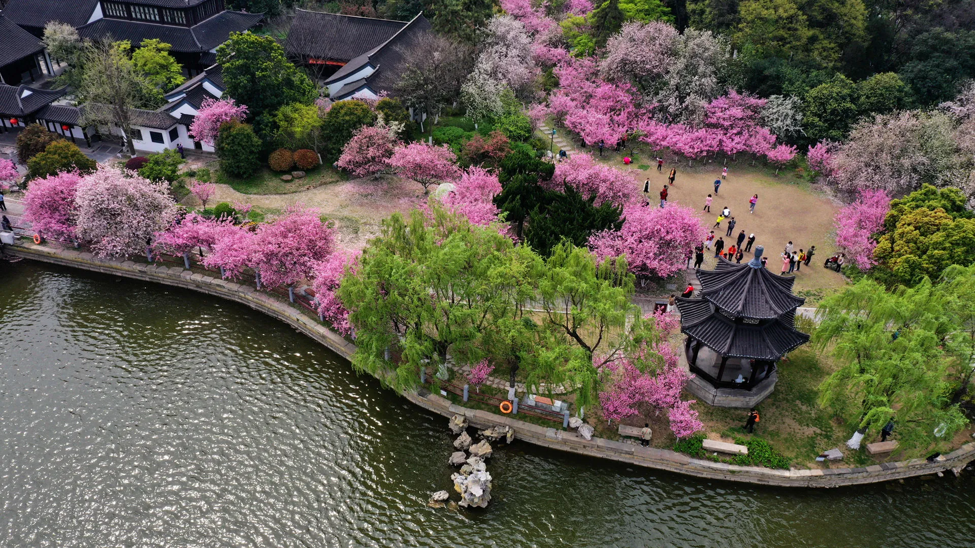 Seasonal Beauty: Visiting the Gardens Year-Round