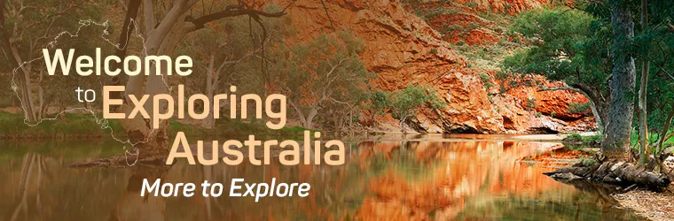 Tips for Exploring: How to Navigate and What to Look Out For