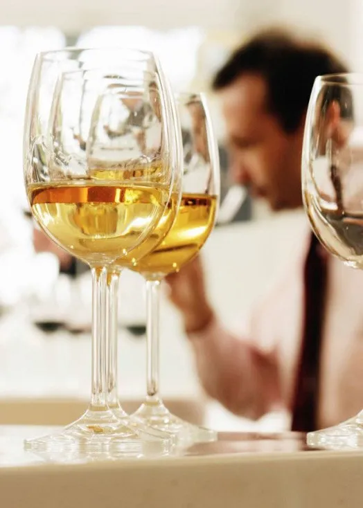 A Taste of Europe: Italian and French Culinary Gems