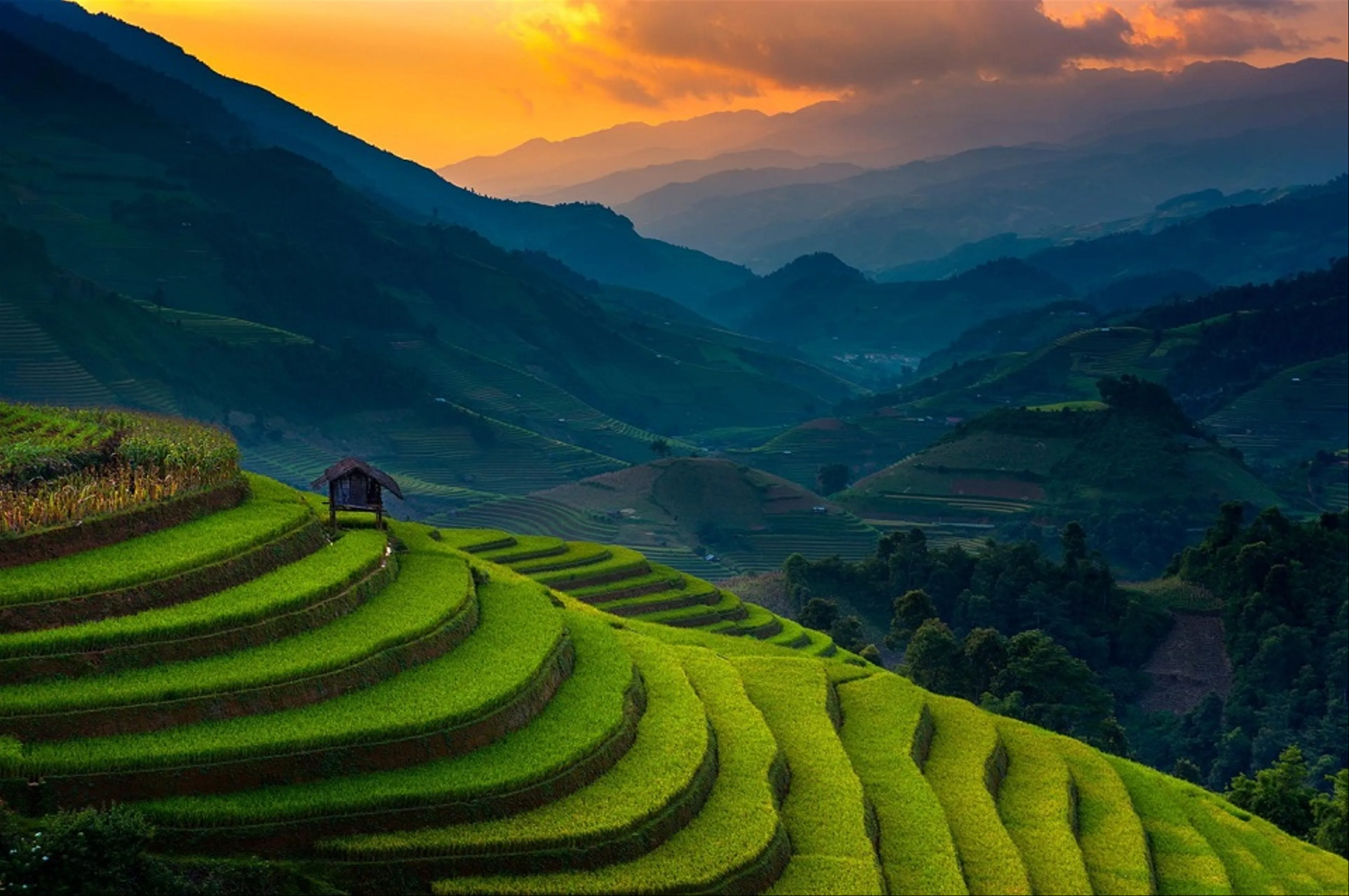 Rediscover Tranquility: A Journey Through the Rice Terraces of Mu Cang Chai