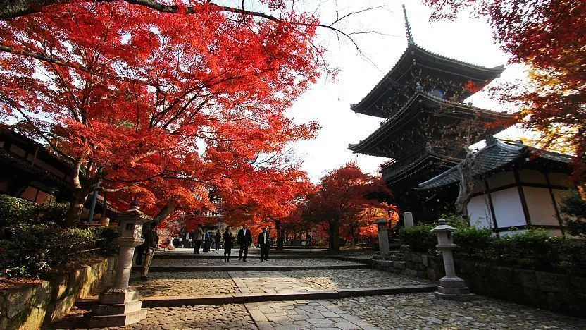 Discovering the History of Shinnyodo Temple