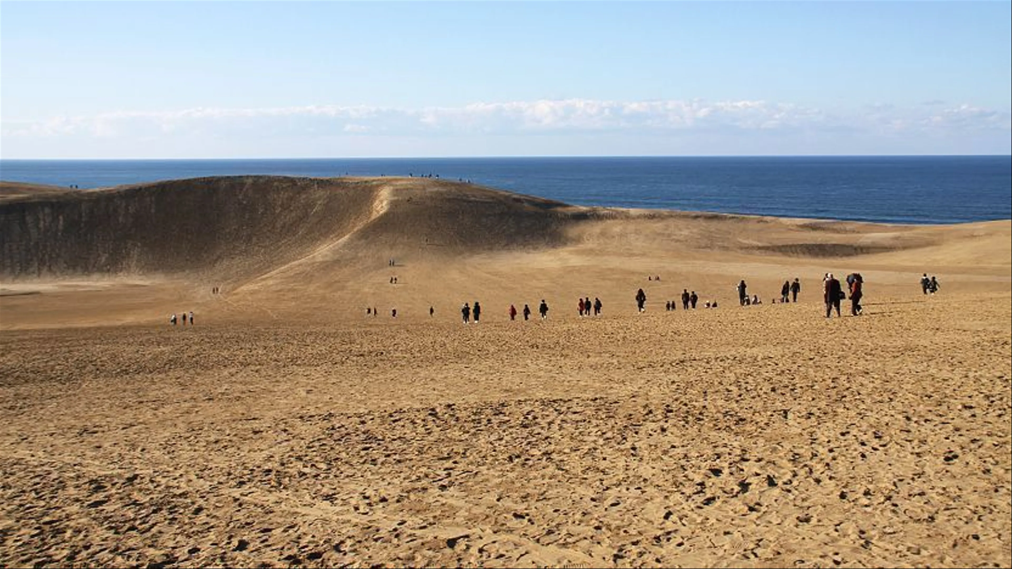 Discover the Tranquil Beauty of Tottori's Sand Dunes and Unique Desert Flora