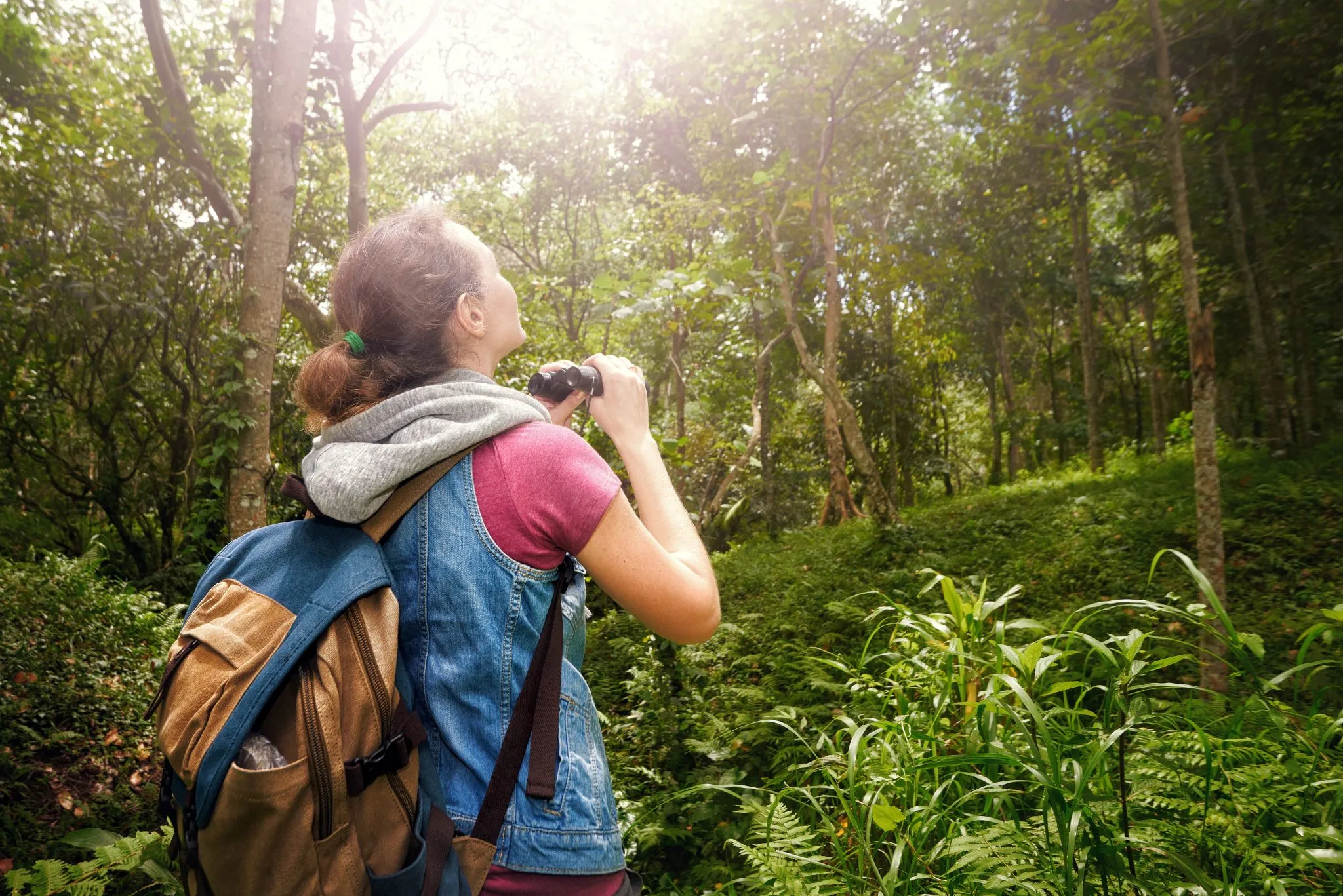 Sustainable Tourism and Conservation Efforts