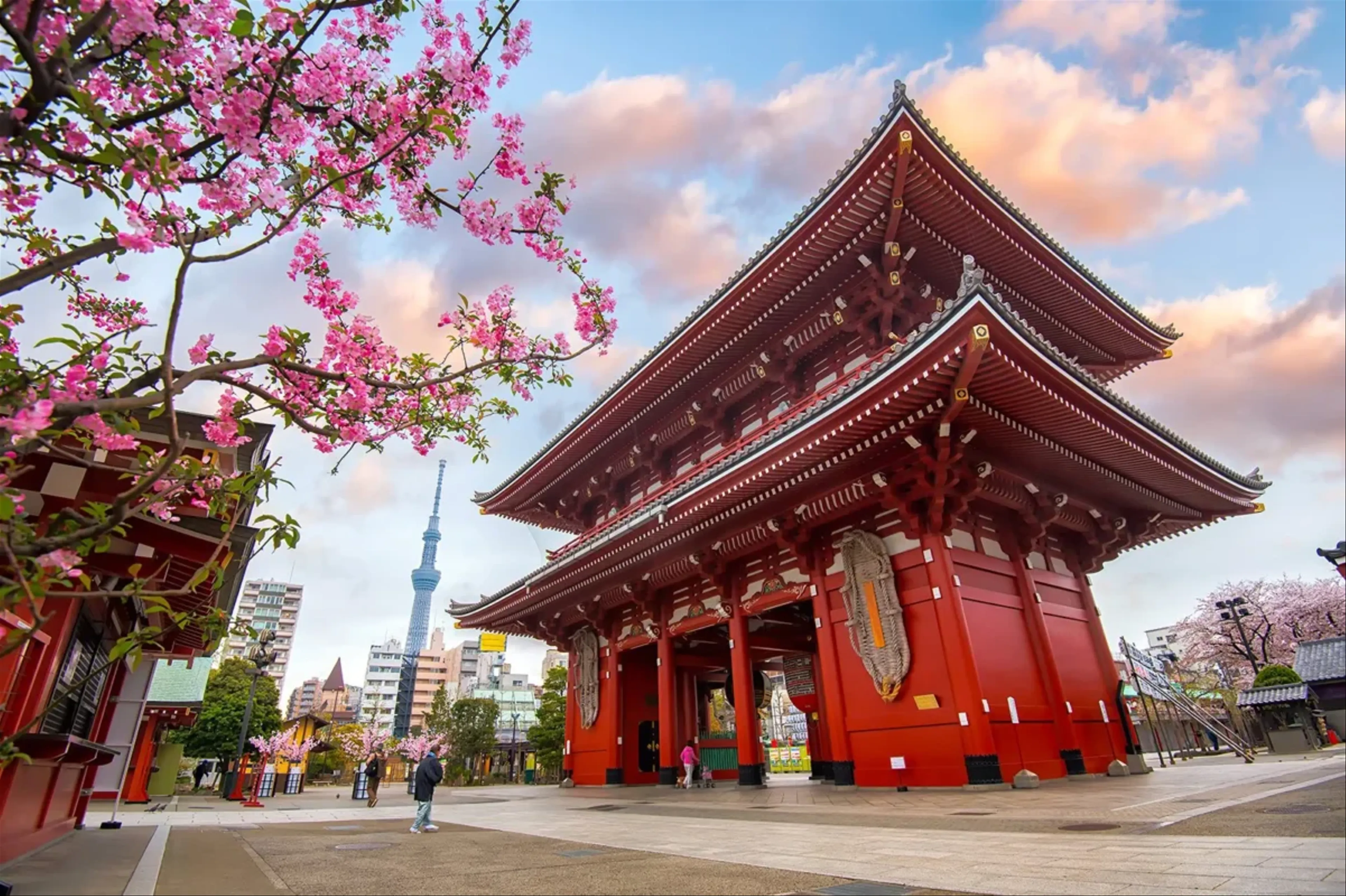 Khám phá Nhật Bản: Hành trình từ Tokyo hiện đại đến Kyoto cổ kính