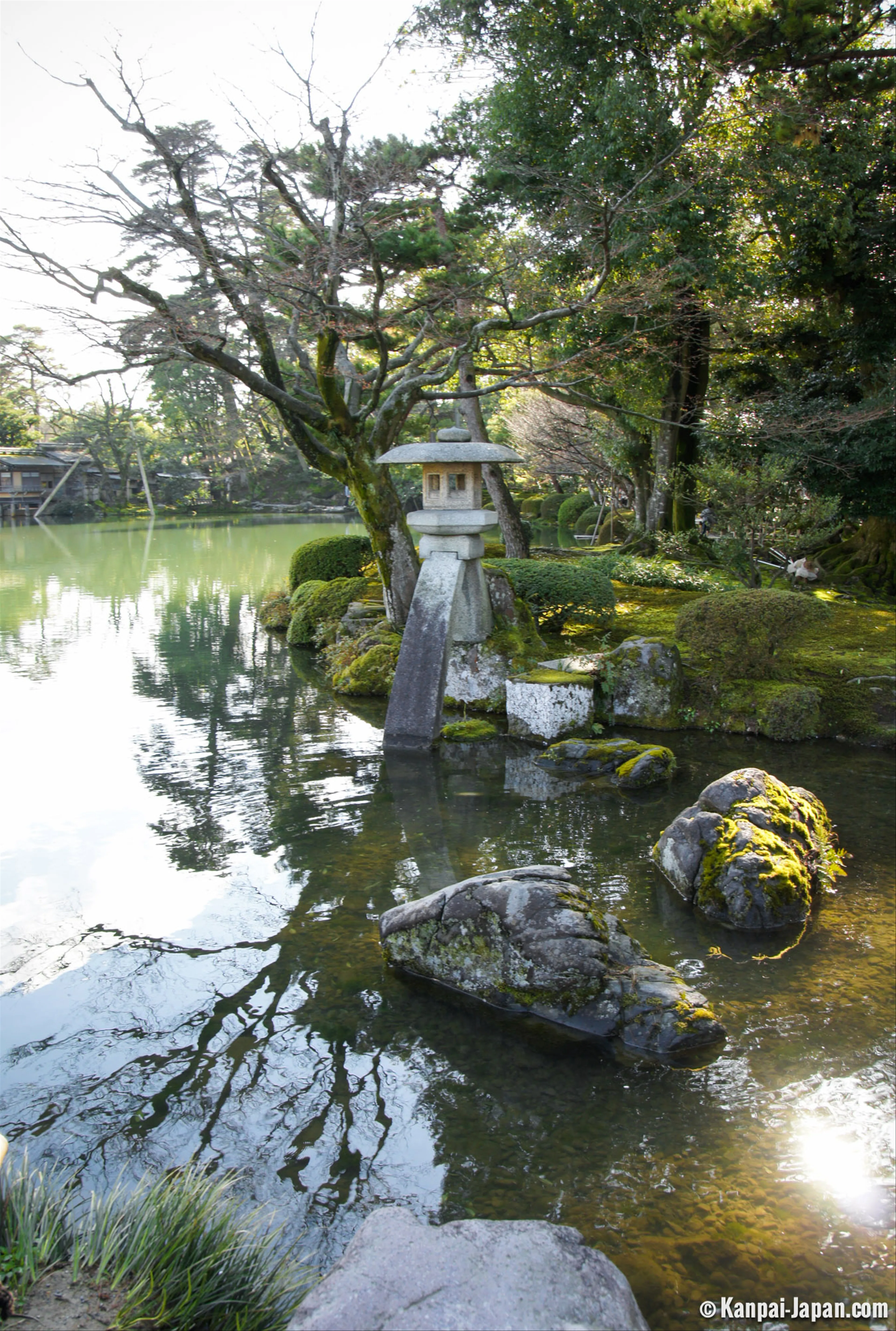 Unveiling the Serenity of Kenrokuen: A Stroll Through Kanazawa's Timeless Garden