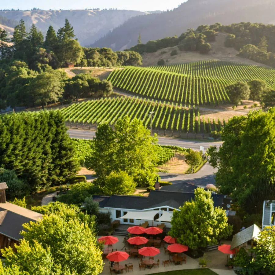 Exploring the Iconic Vineyards and Wineries