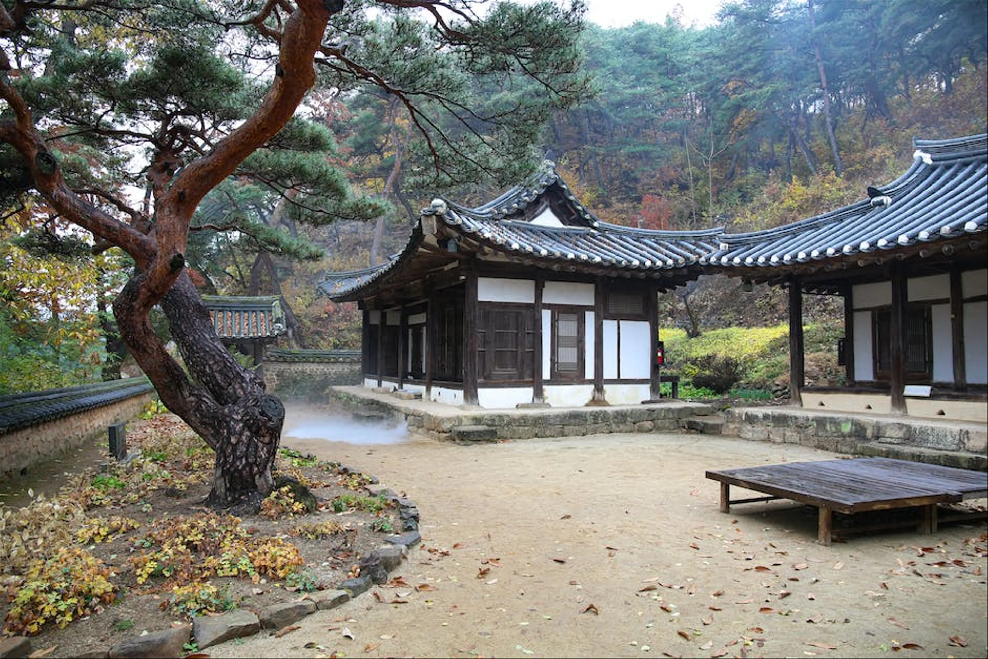 Discover the Hidden Tea Houses of Jeonju Hanok Village