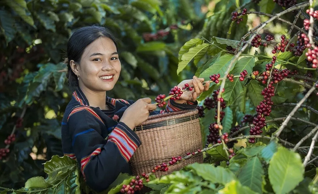 La Caféothèque: Hành Trình Cà Phê Thế Giới