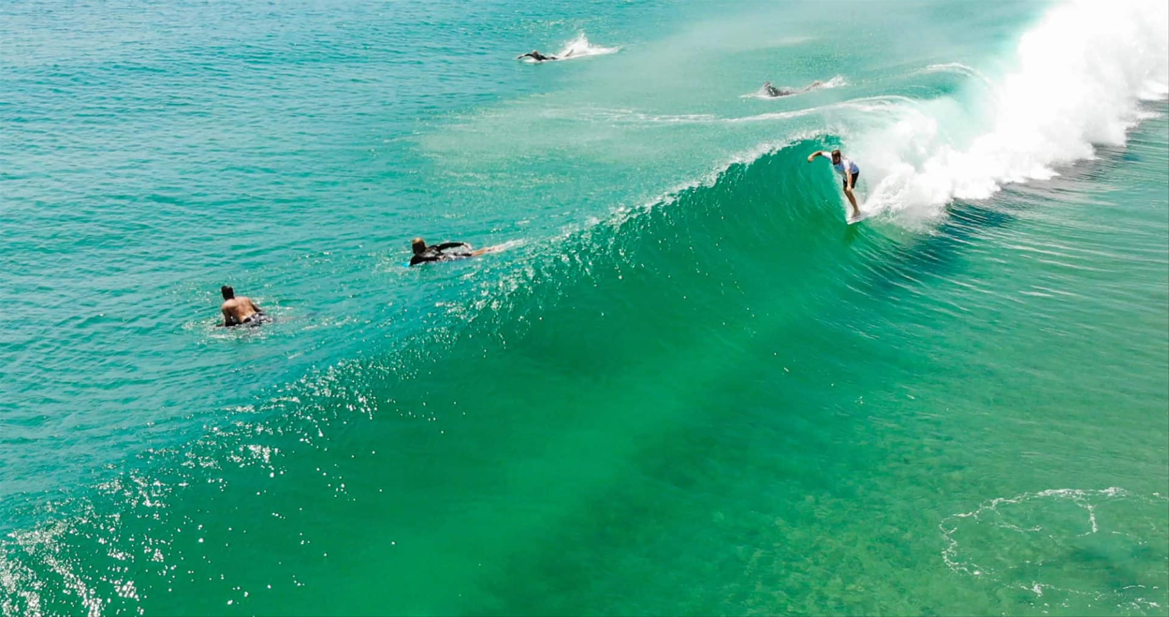 From Surfing to Stargazing: Experiencing Byron Bay's Unique Duality
