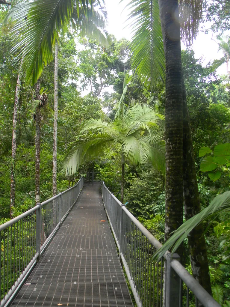 Sustainable Tourism in the Daintree