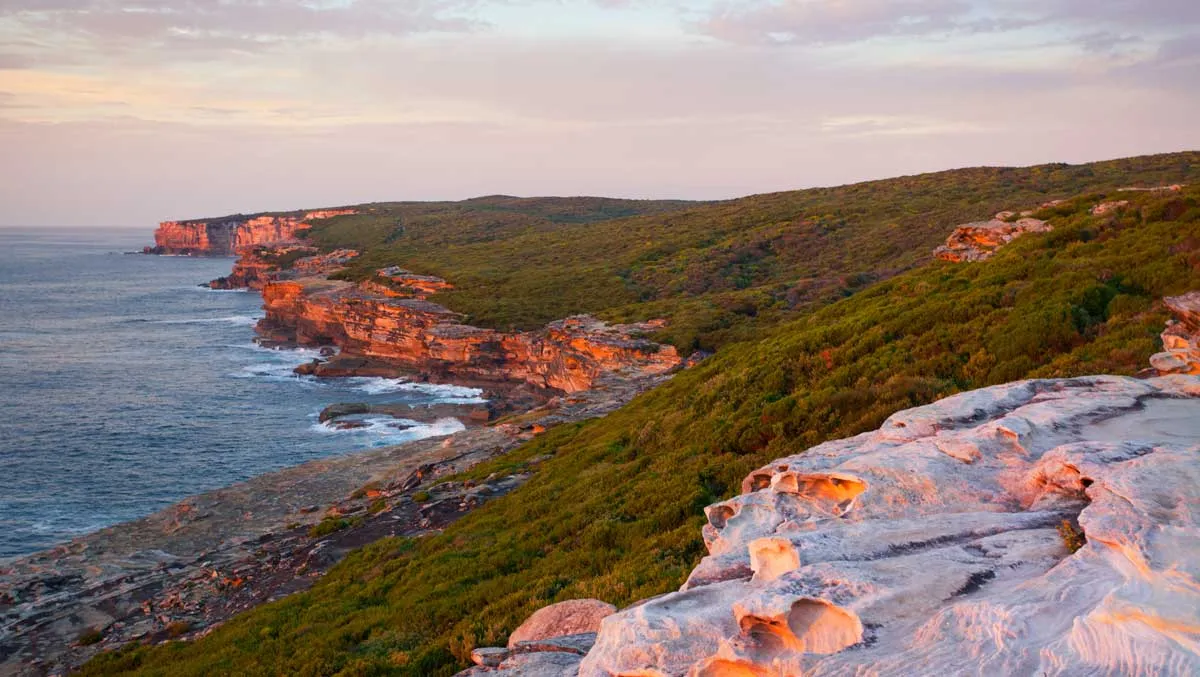 Exploring Nature: National Parks and Coastal Walks