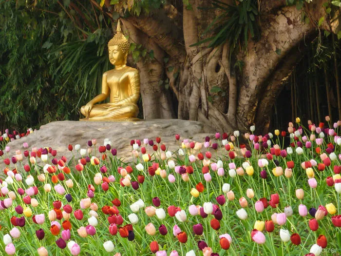 Wat Phan Tao, Chiang Mai