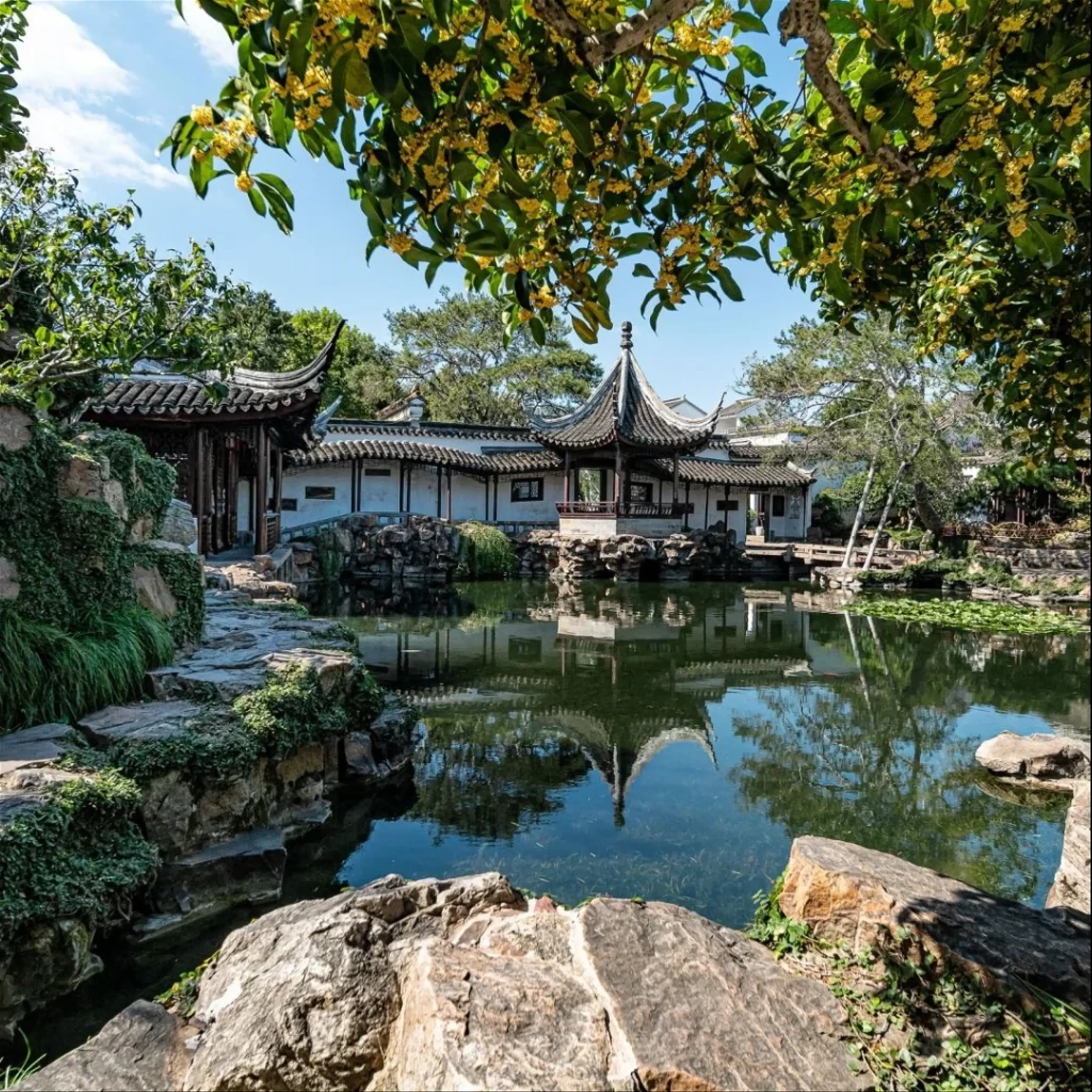 The Serenity of Suzhou’s Classical Gardens: A Journey Through Time