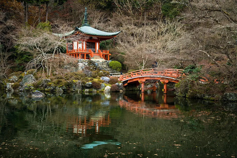 Practical Tips for Visiting Kyoto's Temples and Gardens