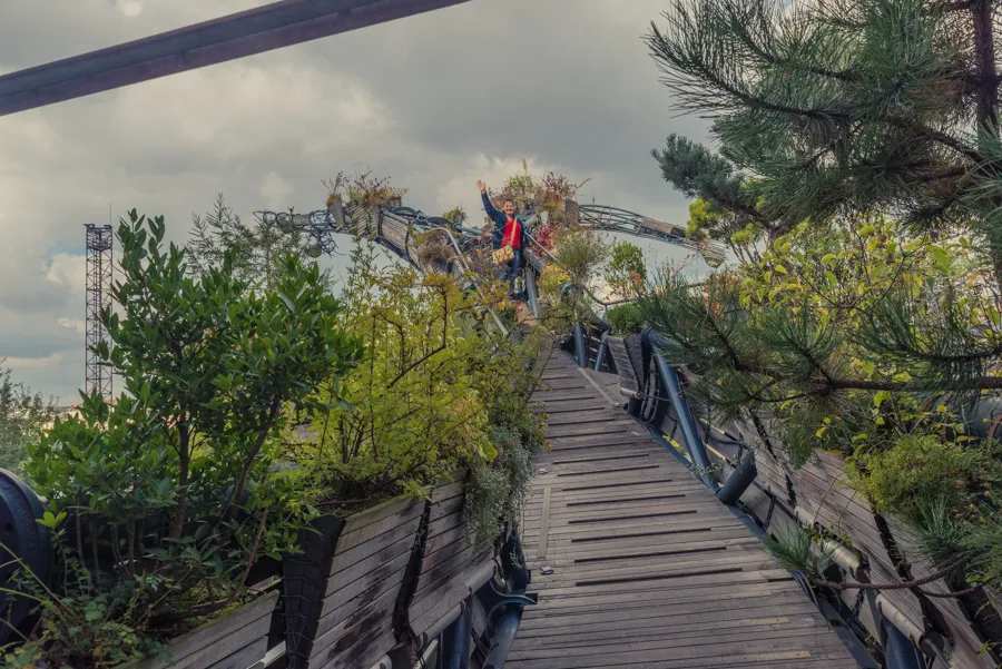 The Heron Tree: A Glimpse into the Future