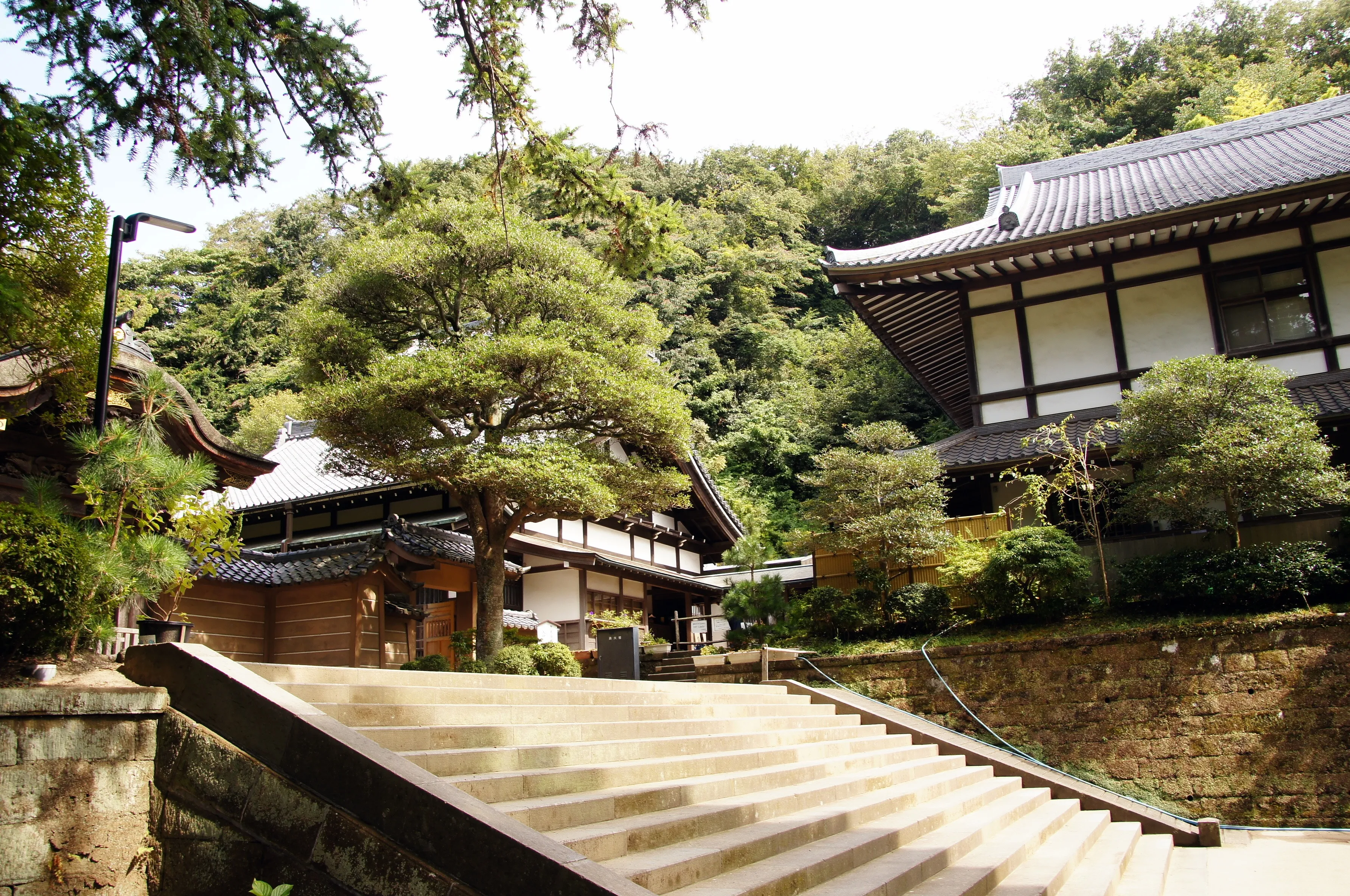 Discovering Kamakura's Historic Temples