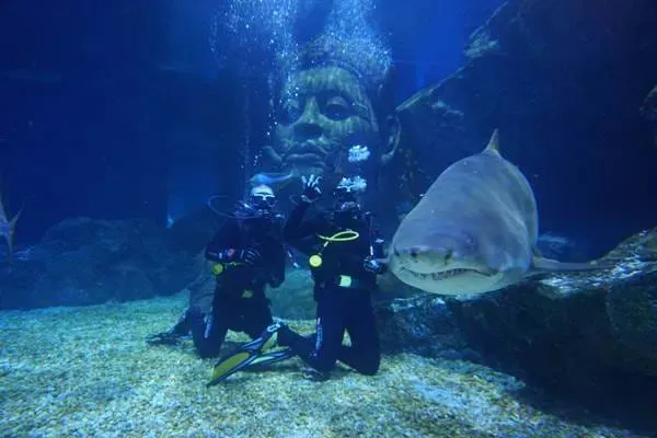 Discover An Amazing Underwater World | SEA LIFE Bangkok Ocean World
