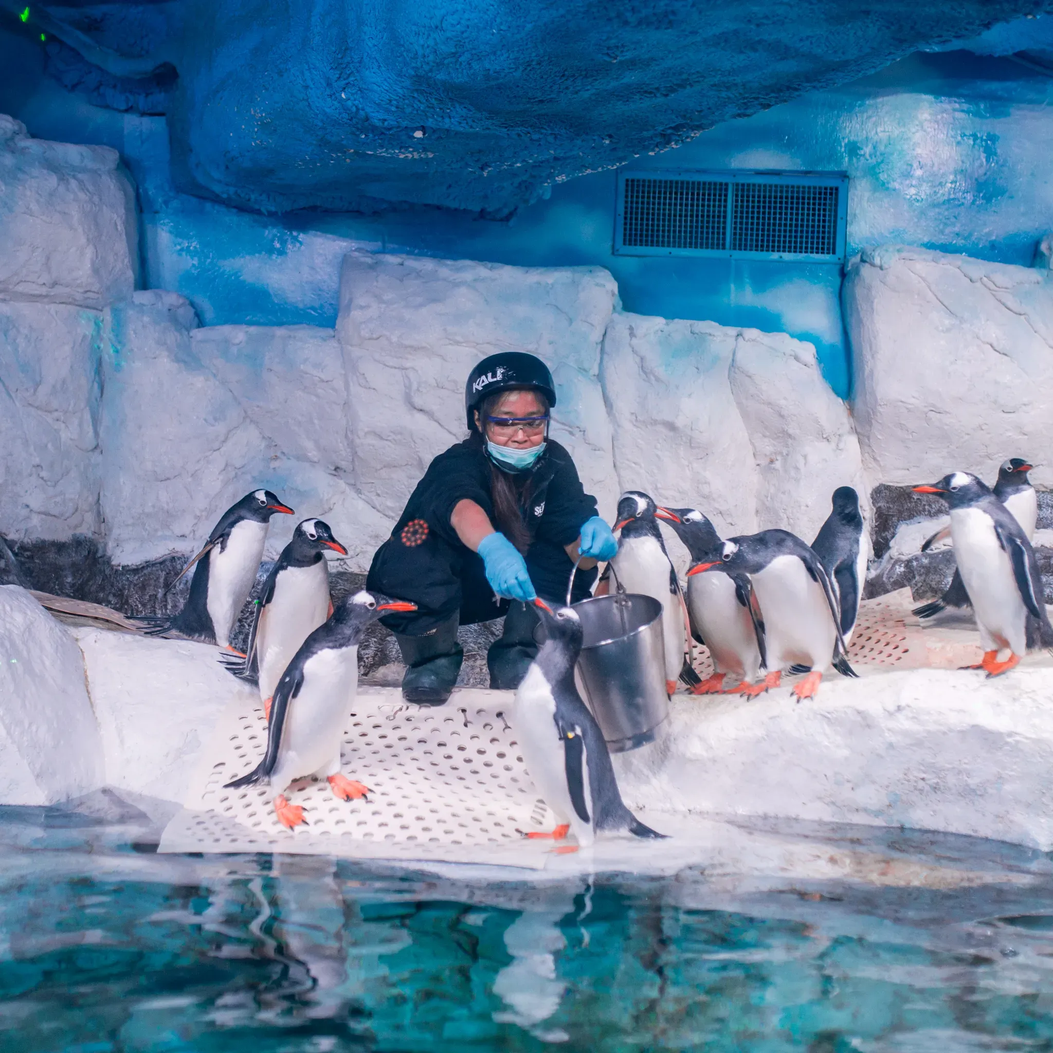 Discover An Amazing Underwater World | SEA LIFE Bangkok Ocean World