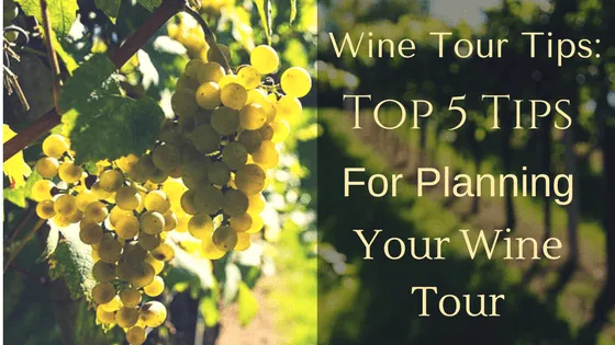Planning Your Wine Tour: Tips and Recommendations