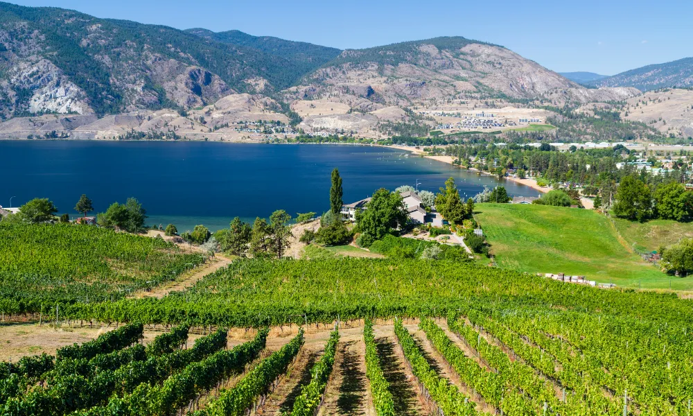 Introduction to Okanagan Valley