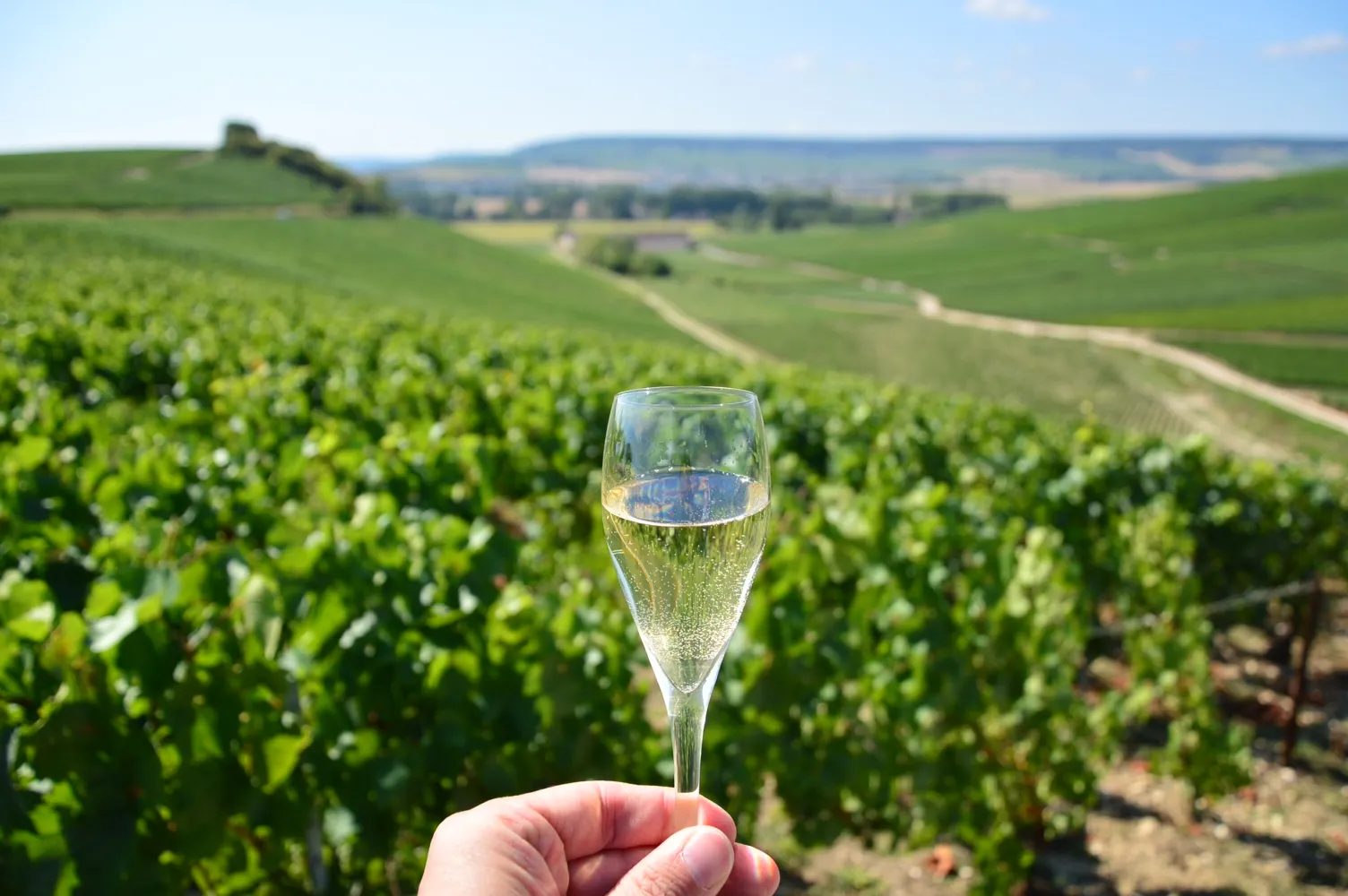 Unique Tasting Experiences and Tours