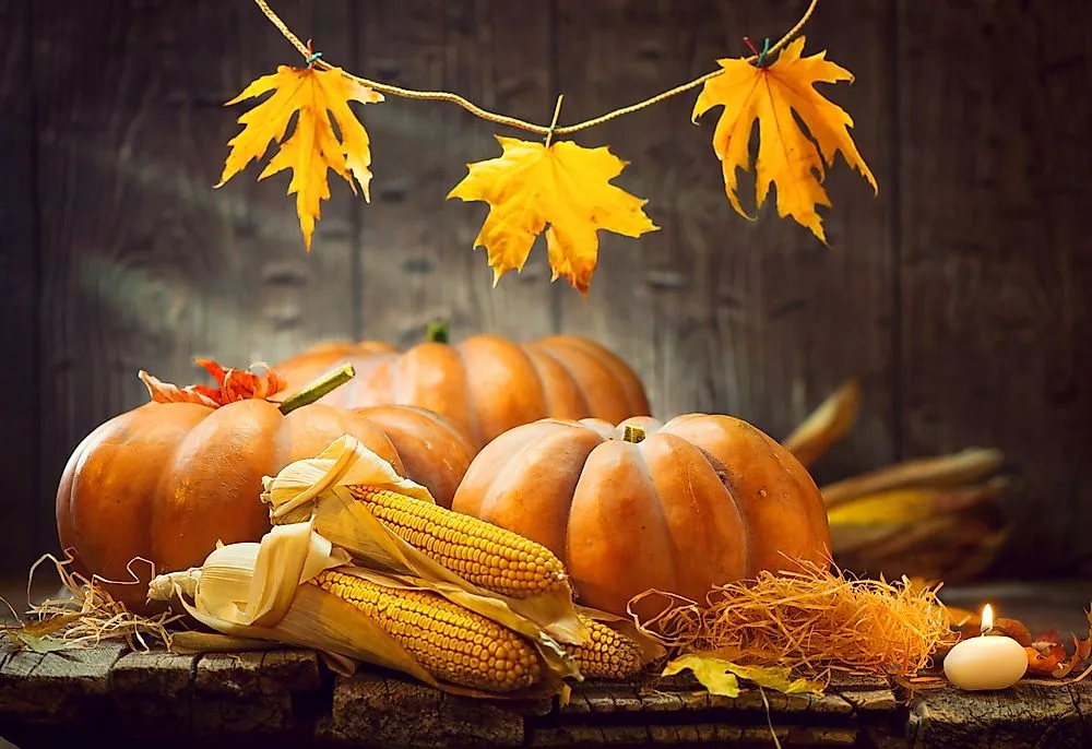 Seasonal Events and Festivals Celebrating Art and Food