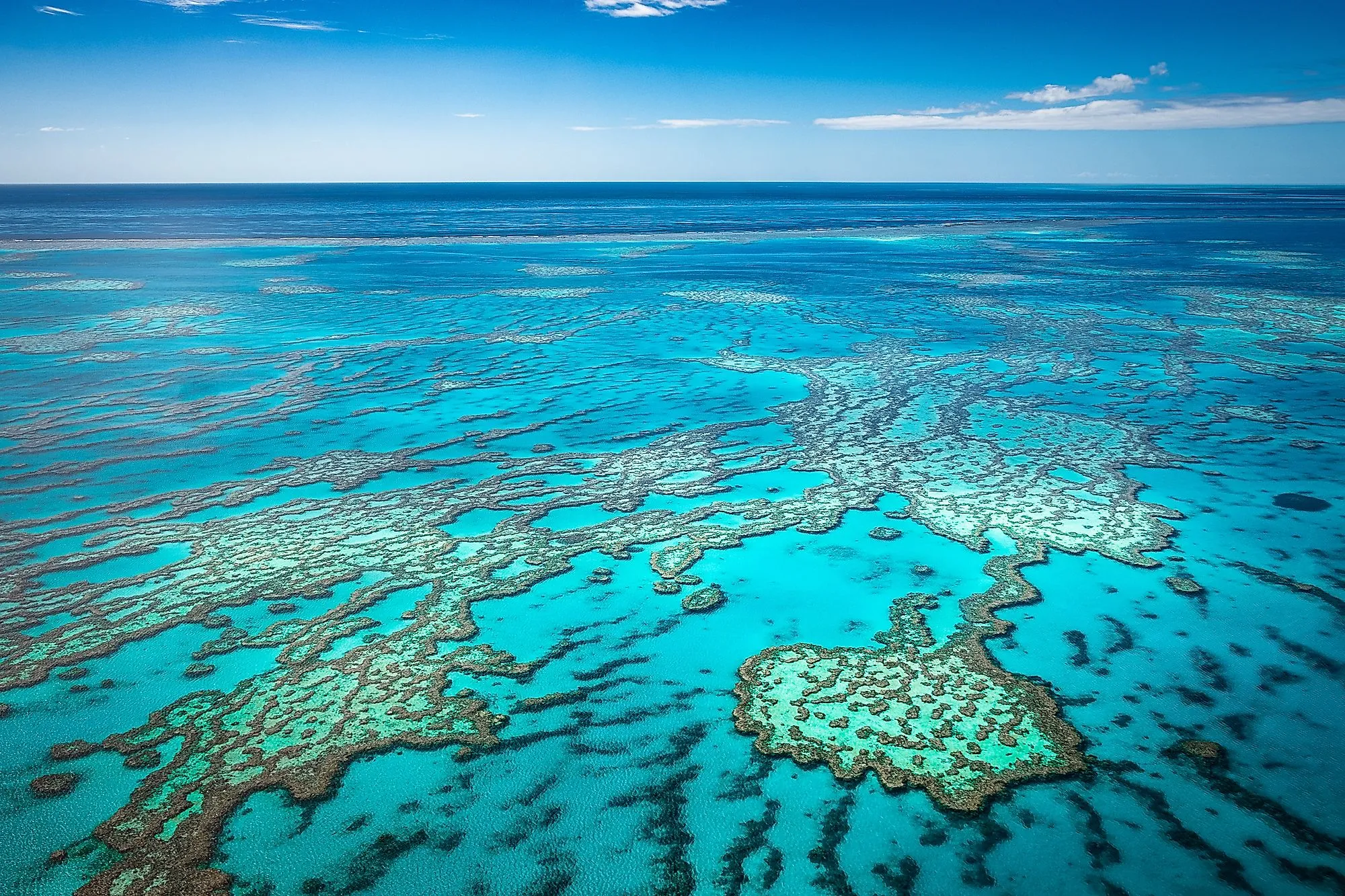 Lịch sử và ý nghĩa của Great Barrier Reef