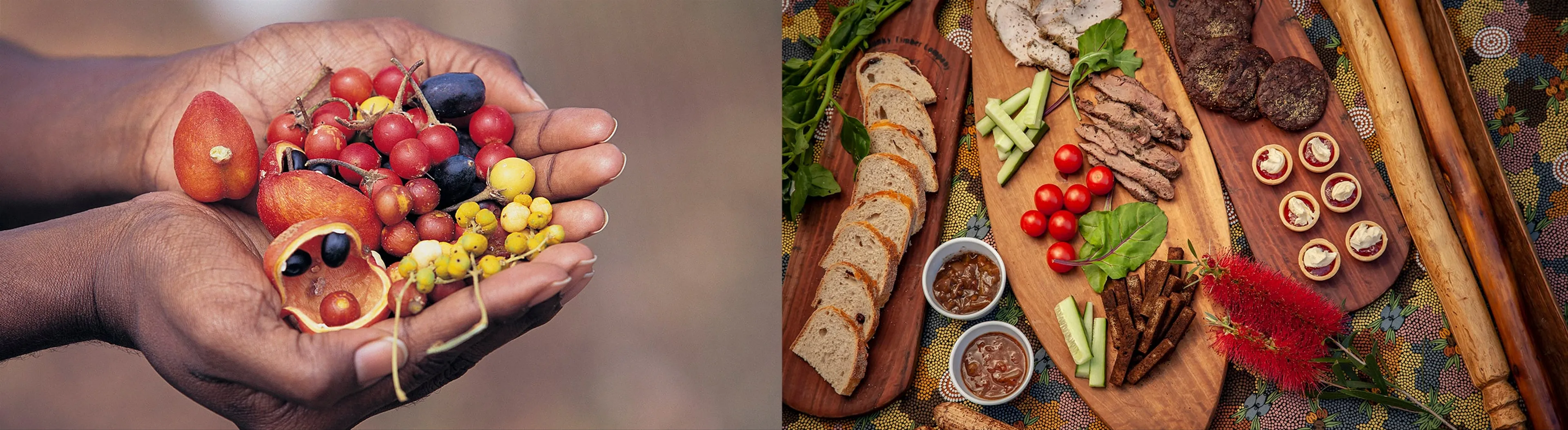 A Foodie's Adventure: Savoring Indigenous Flavors in Australia's Northern Territory
